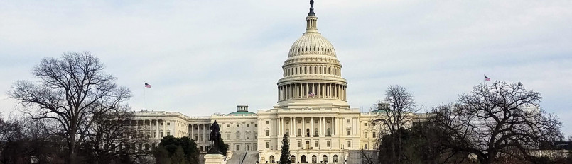 The U.S. Capitol building in Washington, D.C.