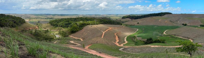 Expansive fields of sugarcane with a few forest fragments seen on distant hilltops.