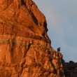 A large black bird of prey perched on a distant, sunset-lit red rock cliff