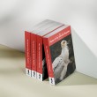 A mockup of a stack of four copies of the new book "State of the World's Raptors" sitting on a shelf.