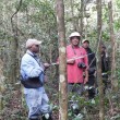Three scientists, including Dr. Lily-Arison Rene de Roland, conducting research in the forests of Madagascar.
