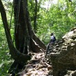 Julio Gallardo leaning against a rocky ruin and looking up at the surrounding rainforest.