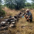 A scientist wearing latex gloves surveys dozens of dead vultures killed by an illegal poisoning event.