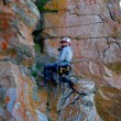 Biologist Kara Beer in climbing gear on the side of a rocky cliff smiling at the camera.