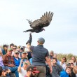 Ambassador Turkey Vulture Lucy takes off from the glove of Raptor Specialist II Jadn Soper surrounded by a large crowd during a Fall Flights show.