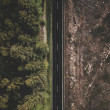 A birds-eye view of a road; one the left side is dense forest, while the right is clear-cut bare ground.
