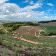 Expansive fields of sugarcane with a few forest fragments seen on distant hilltops.