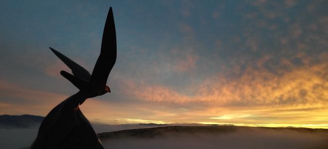 The sun sets outside of the Archives of Falconry