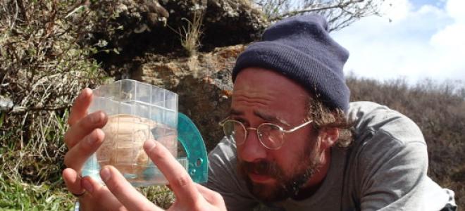 Biologist Bryce Robinson measure a gyrfalcon egg