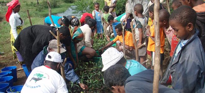 Members of a community in Madagascar plant trees