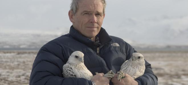 William Burnham holds 2 gyrfalcons in the Arctic