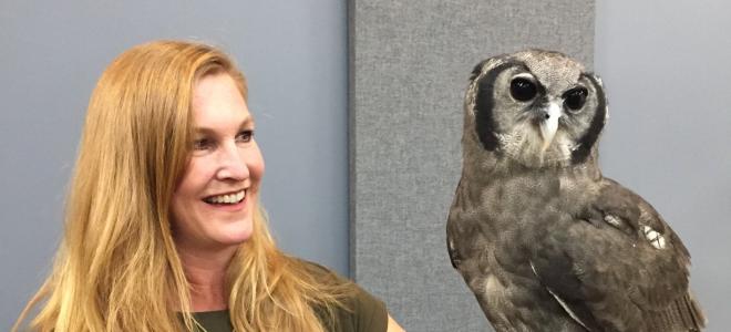 Team member Adrienne holding Ollie, a Verreaux's Eagle Owl