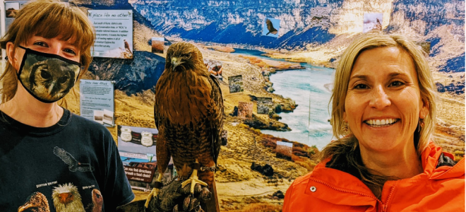 The Peregrine Fund's NYC Marathon team member, Lucy Harrington (on the right), poses with one of the World Center for Birds of Prey's avian ambassadors at the World Center.