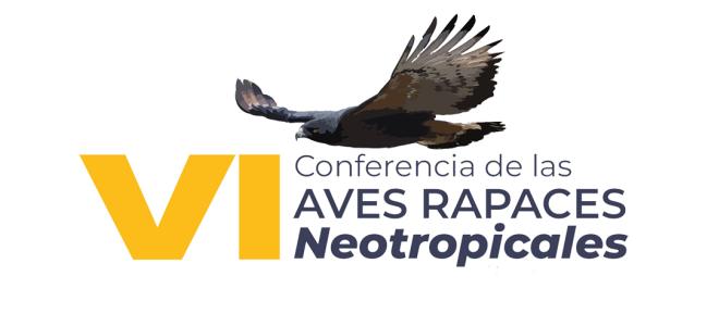 Logo of hawk soaring