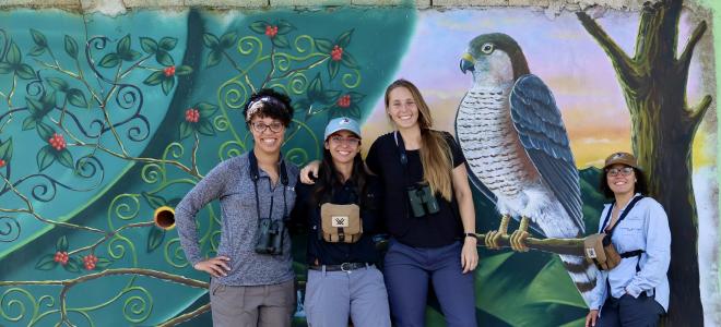 Four biologists posing in front of a mural of a Puerto Rican Sharp-shinned Hawk