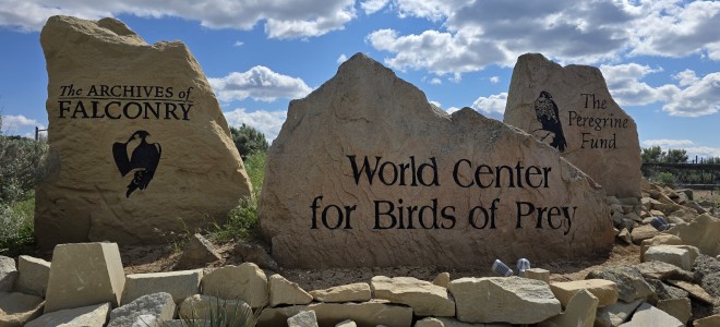 WCBP TAF TPF Stones May 2025