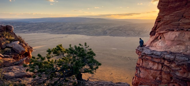 A newly released immature California Condor perched on a rock ledge overlooking the House Rock Valley.
