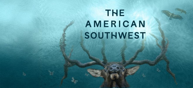 A stylized drawing of an elk face peering up at superimposed text reading &quot;The American Southwest&quot; in front of a watery blue background.