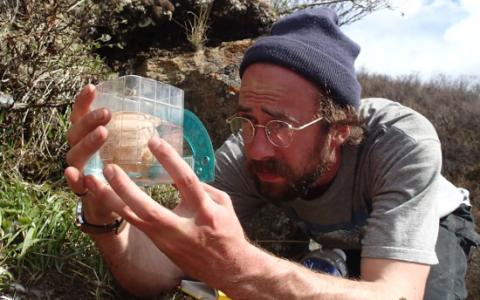 Biologist Bryce Robinson measure a gyrfalcon egg