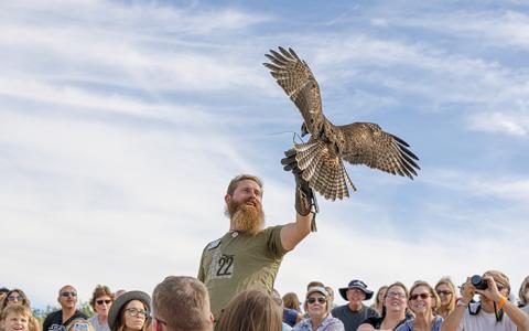 World Center for Birds of Prey