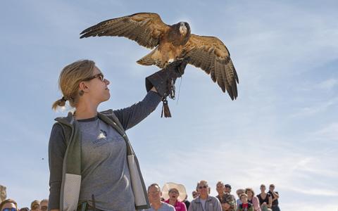 Global Engagement The Peregrine Fund