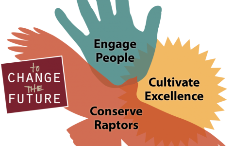 The Peregrine Fund's Strategic Plan logo. A silhouette of an eagle contains the words, Conserve Raptors, A circle contains the words, Cultivate Excellence. A handprint  contains the words, Engage People. A box contains the words, To Change The Future
