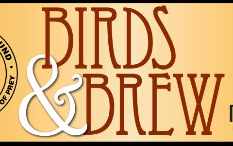 Birds & Brew Event Graphic