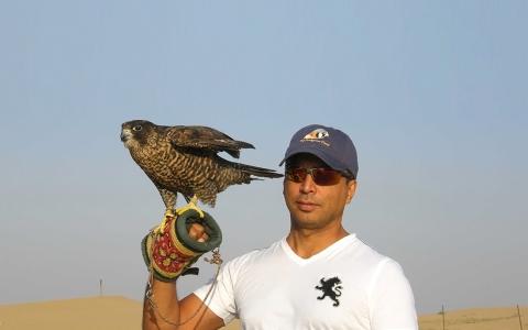 Munir Virani with a falcon