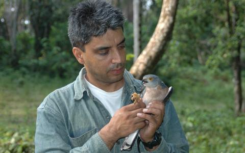 Dr. Munir Virani holds a wild African Goshawk
