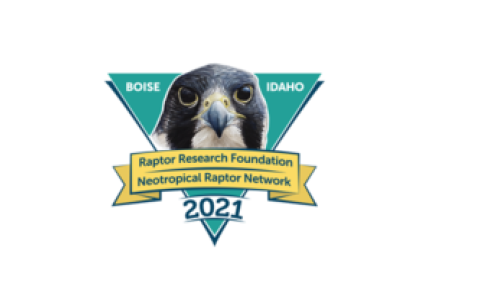 The logo of the 2021 Raptor Research Foundation Conference