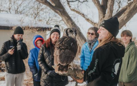 Snowy outdoor photo of Oliver the Owl, his trainer, and guests dressed warm