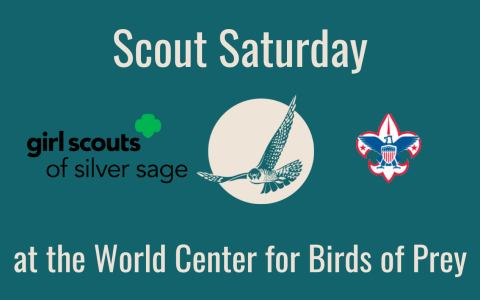 Logos for Girls Scouts, World Center for Birds of Prey, and Boy Scouts