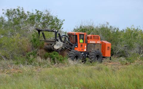 Large orange tractor removes weedy shrubs