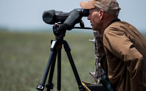 Biologist Brian Mutch looking through a scope