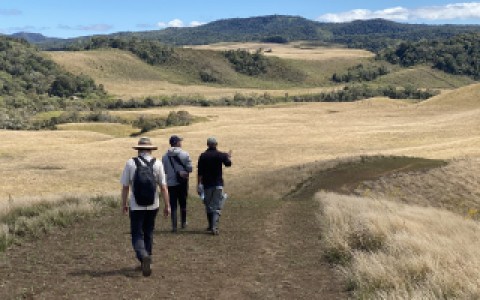 Three scientists walk along a trail amongst rolling Madagascar hills.