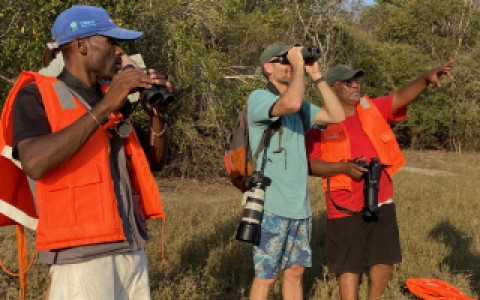 Two Madagascar Program staff point out something to another scientist looking through binoculars.