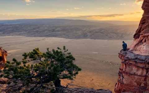 A newly released immature California Condor perched on a rock ledge overlooking the House Rock Valley.