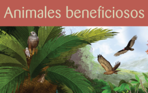 Un cuadro que muestra varias aves rapaces en vuelo y un Gavilán de La Española adulto con un polluelo en una palmera. El texto superpuesto dice "animales beneficiosos".