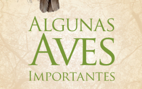 Texto que lee "Algunas aves importantes."