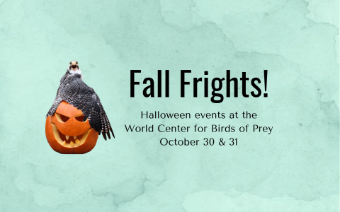 Fall Frights - Halloween events at the World Center for Birds of Prey - Oct 30 and 31, 2026