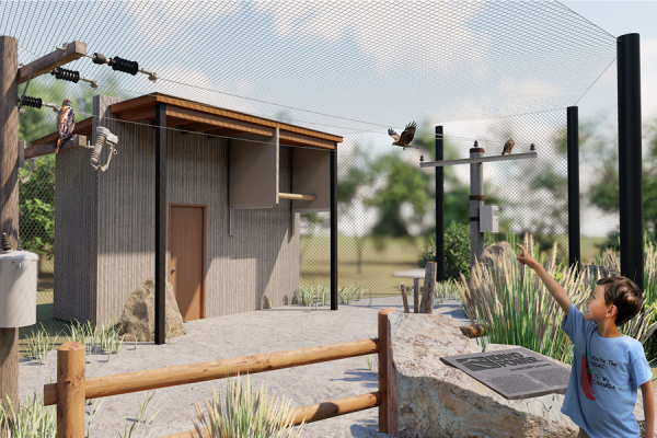 Rendered image of an exhibit where a hawk is perched atop a power line pole, and a child is excitedly pointing towards the hawk.