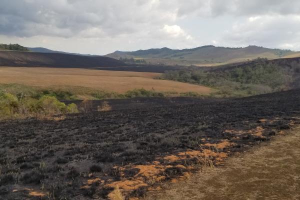 Burnt grassland with mountains in the background