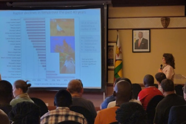 A woman giving a presentation to a room full of people