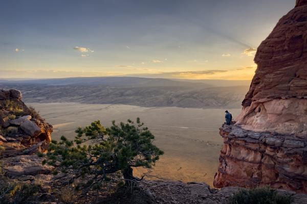 A California Condor perched a red rock formation high above a valley and distant plateau