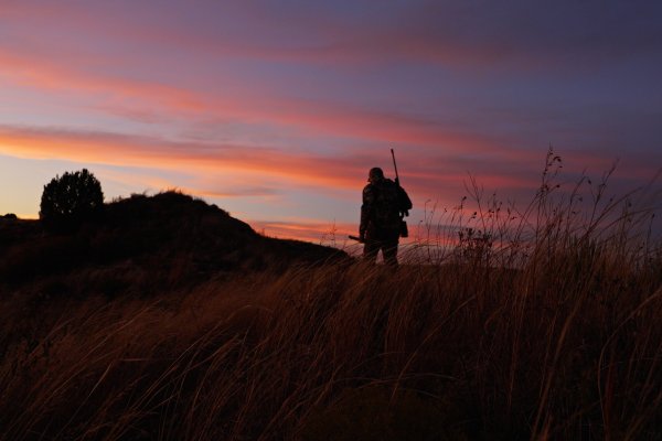 A hunter walking across a grassy plain towards a sunset