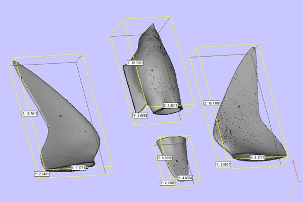 A 3d rendering of four hollow structures that together form a stylized Peregrine Falcon.