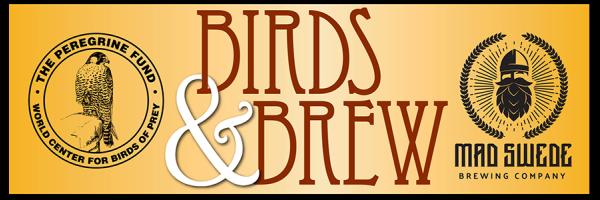 Birds &amp; Brew