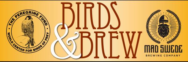 Birds & Brew Event Graphic
