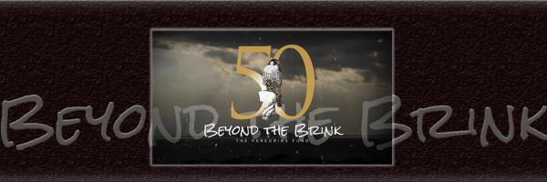 Beyond the Brink