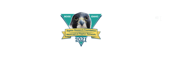 The logo of the 2021 Raptor Research Foundation Conference